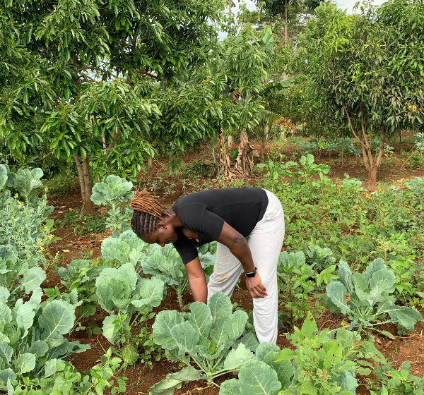 Every Kitchen Needs a Garden as Much as We All Need Water for Survival