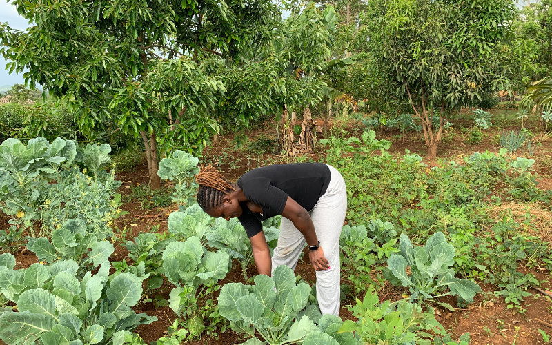 A photo of me harvesting vegetables from my kitchen garden