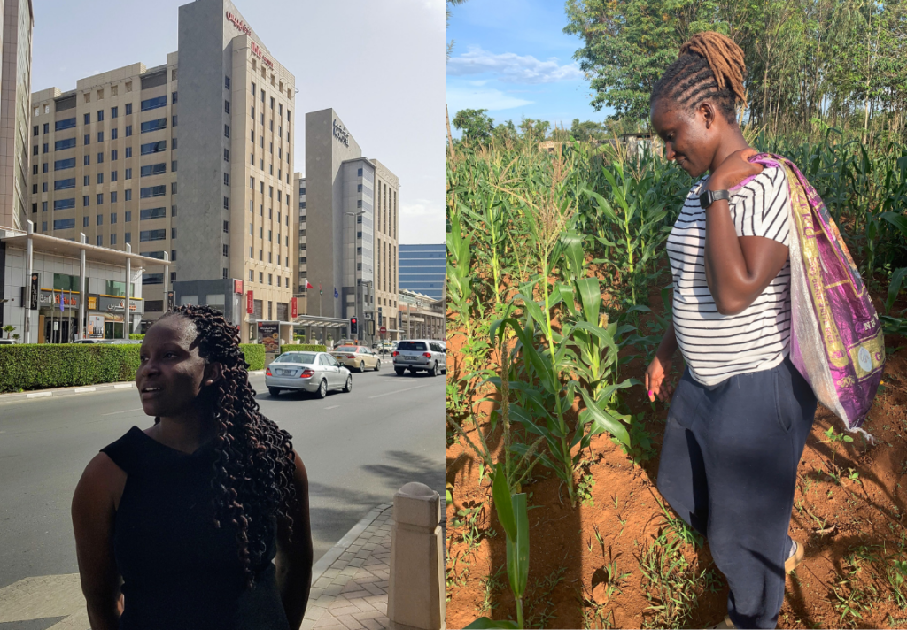 A photo grid of me in the city of Dubai and another one in the farm