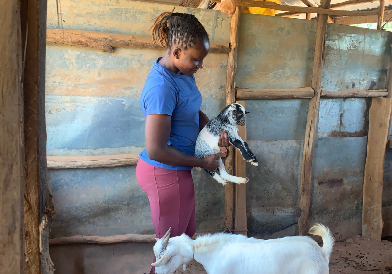 From City Lights to Village Life: Embracing Change and Redefining Success